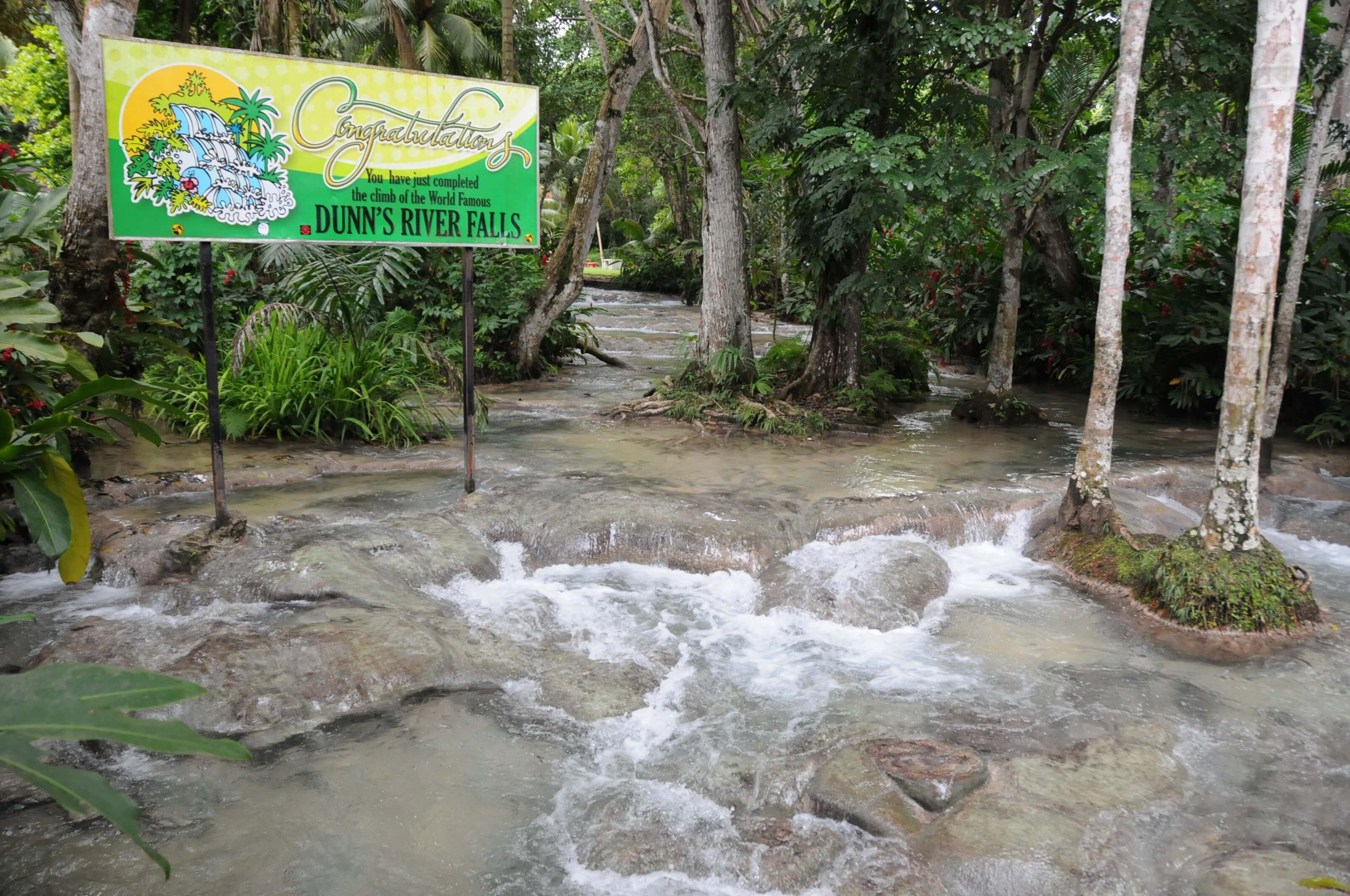 Dunn's River Falls Only
